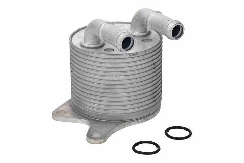 24148699905VM V20-60-0109 Oil Cooler, automatic transmission