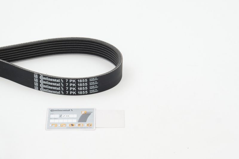 11287628653CT1 7PK1855 V-Ribbed Belt