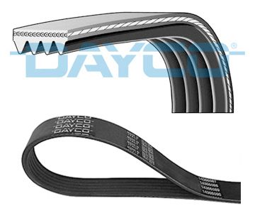 11287631822D 4PK845 V-Ribbed Belt