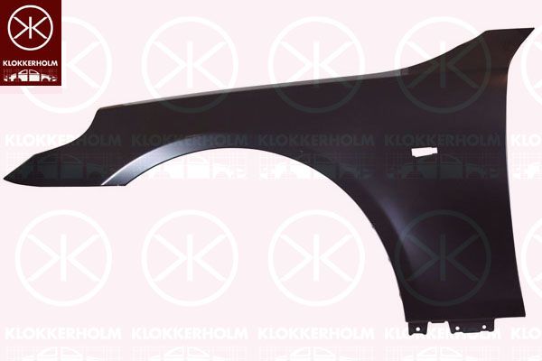 41357111429KH 0066313A1 Wing