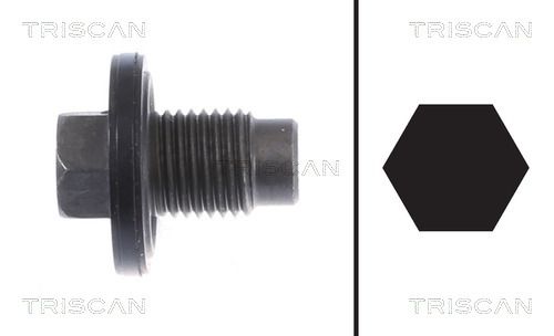 11137513050TS 9500 1021 Screw Plug, oil sump