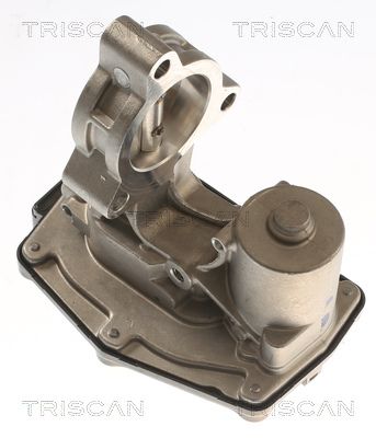 11718576810TS 8813 11023 EGR Valve