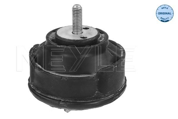 22116761090M 300 221 1125 Mounting, engine