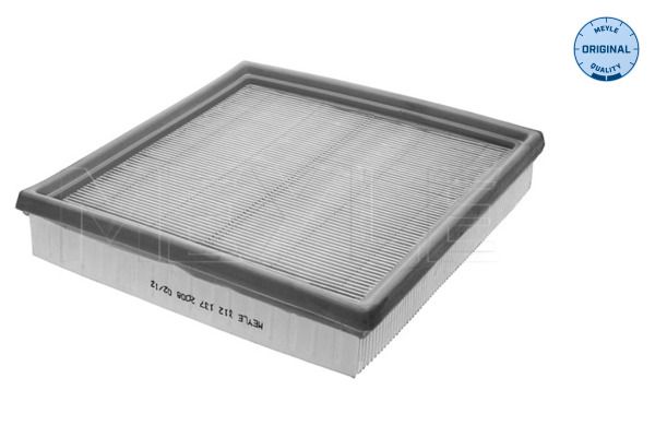 13721247404M 312 137 2008 Air Filter