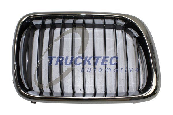 51138195152TA 08.62.256 Radiator Grille