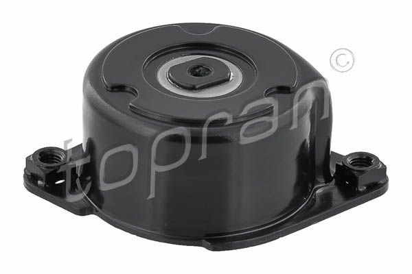 11282354130TR 501 674 Belt Tensioner, V-ribbed belt