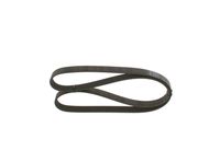 11288613707BO 11288613707 11 28 8 613 707 8613707 1 987 947 944  V-Ribbed Belt