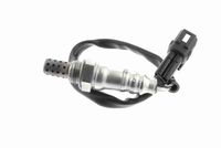 61316945874VM 61316945874 61 31 6 945 874 6945874 V20-73-0158 BMW E91 -  Switch, window regulator