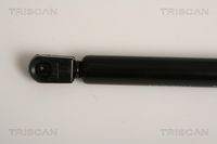 51237148346TS 51237148346 51 23 7 148 346 7148346 8710 11118 BMW X6 (E72 Hyb) -  Gas Spring, bonnet