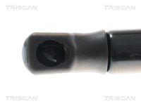 51237397494TS 51237397494 51 23 7 397 494 7397494 8710 11367  Gas Spring, bonnet