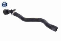11812283798V 11812283798 11 81 2 283 798 2283798 V20-1023  Mounting, engine